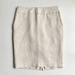 Ann Taylor Loft Skirt